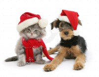 Nažehlovací obrázek s vánočním motivem